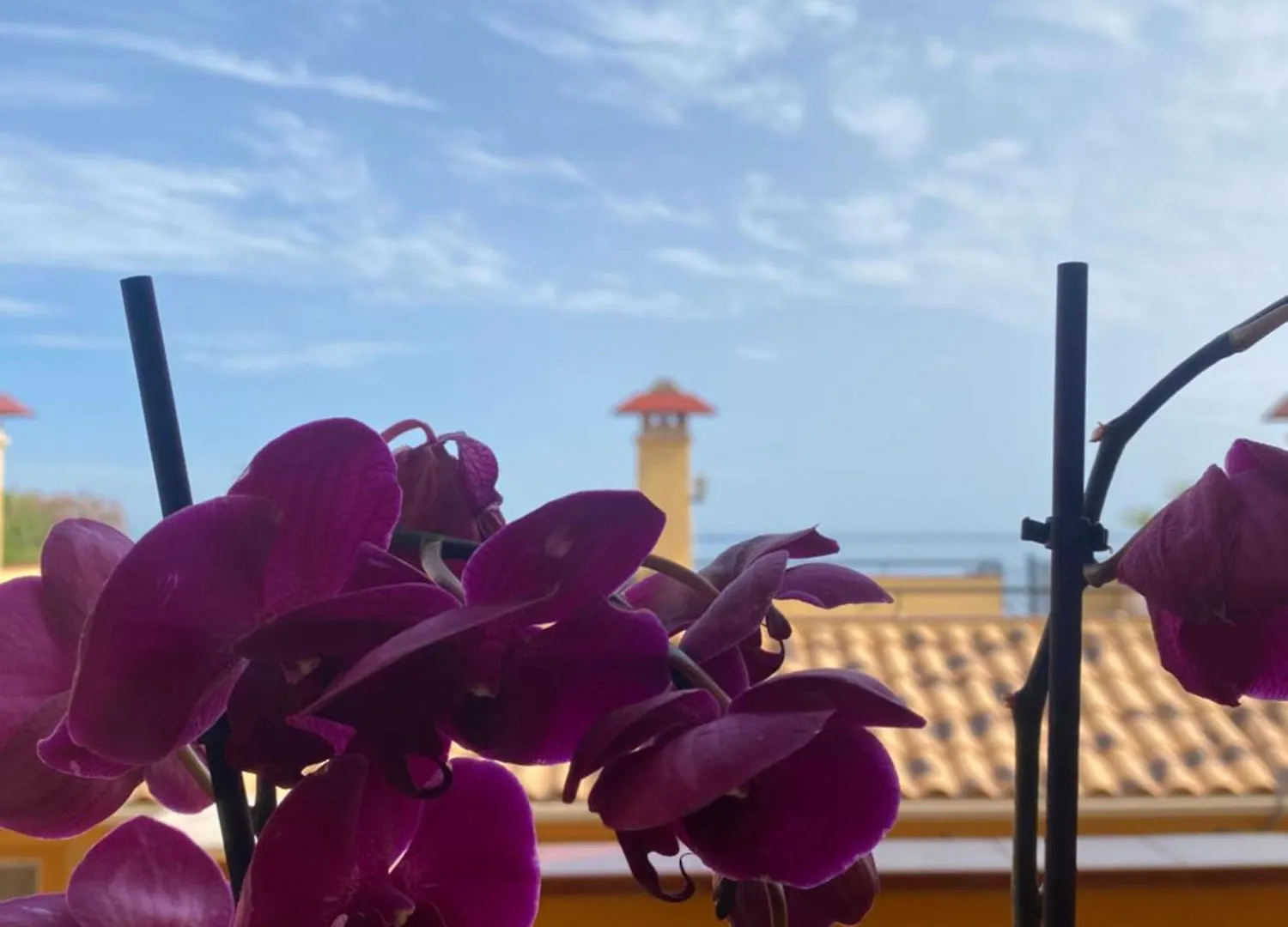 Apartmán Brisa De Carvajal Benalmádena